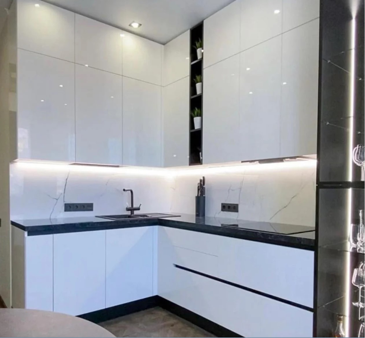 Front View Straws and Plant